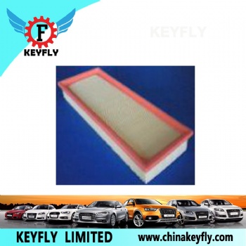Auto Air Filter 13721707021 13721714952 for BMW
