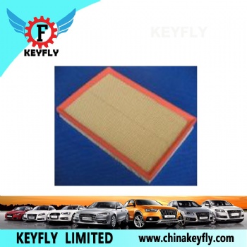 Auto Air Filter 13717548888 for BMW