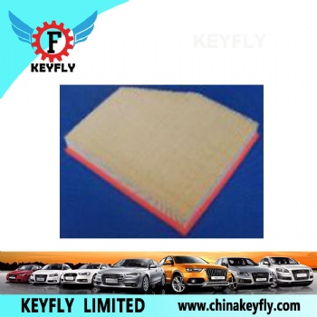 Auto Air Filter 13717521023 for BMW