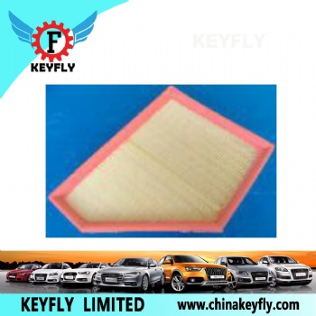 Auto Air Filter 13717548898 for BMW