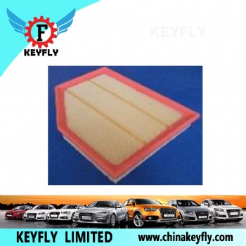 Auto Air Filter 13717521033 13717521033-01 for BMW