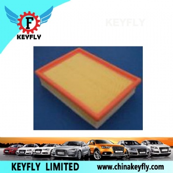 Auto Air Filter 13721744869 13721730449 for BMW