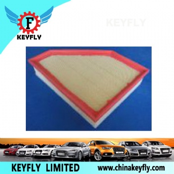 Auto Air Filter for BMW