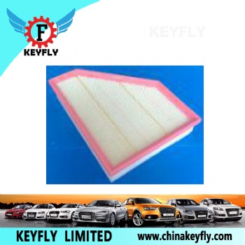 Auto Air Filter for BMW