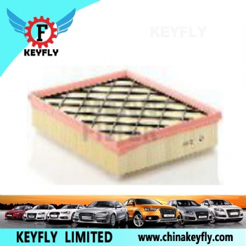 Auto Air Filter 13717798342 for BMW