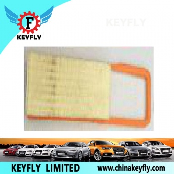 Auto Air Filter 13718626739 for BMW