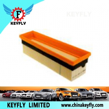 Auto Air Filter 13717589641 for BMW