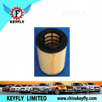 Auto Air Filter 15202408 for Isuzu