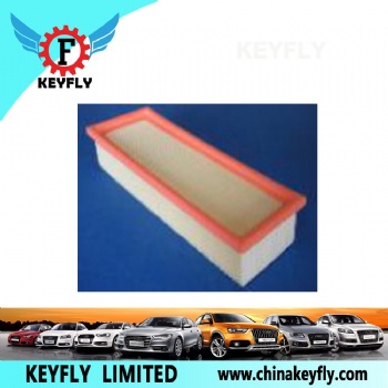 Auto Air Filter 1444-E8 1444-E9 for Peugeot