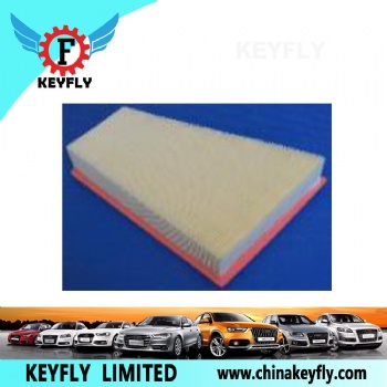 Auto Air Filter 1444-R5 1444-R6 for Peugeot