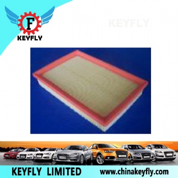 Auto Air Filter 1444-VW 1444-FH for Peugeot