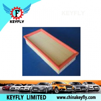 Auto Air Filter 1444-EJ 1444-EW for Peugeot