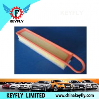 Auto Air Filter 13717534825 1444-RW for Peugeot