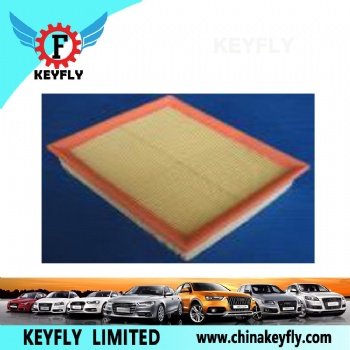 Auto Air Filter ESR4238 for Renault