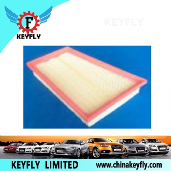 Auto Air Filter 8200820860 for Renault