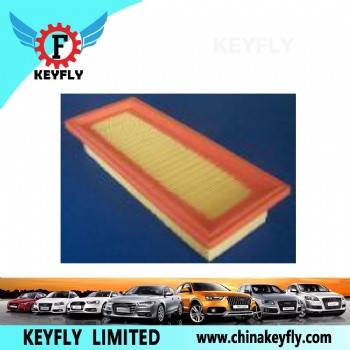 Auto Air Filter 7782629 71736125 for Fiat