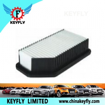 Auto Air Filter 28113-1W000 for Hyundai/Kia