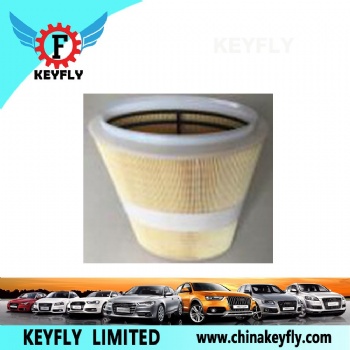 Auto Air Filter 98711013300 for VW