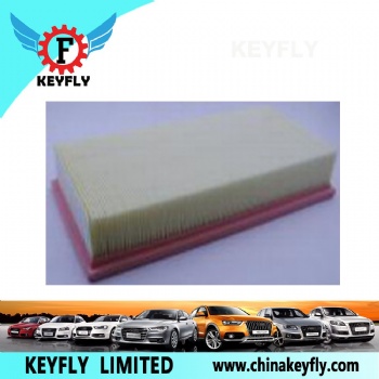 Auto Air Filter B21-1109111