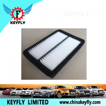 Auto Air Filter T15-1109111