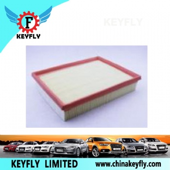 Auto Air Filter 1109013-B02