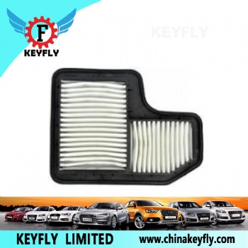 Auto Air Filter 1109117-FA01