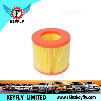 Auto Air Filter 5556091