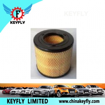 Auto Air Filter 4912541501