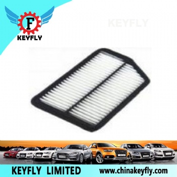 Auto Air Filter 1109130V0010
