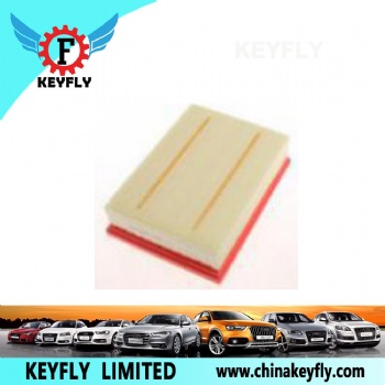 Auto Air Filter 10177398