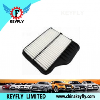 Auto Air Filter 1109120-FB01