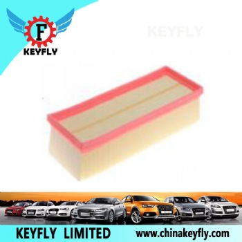 Auto Air Filter FS1-9601-AA