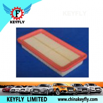 Auto Air Filter 28113-1G000 for Hyundai/Kia