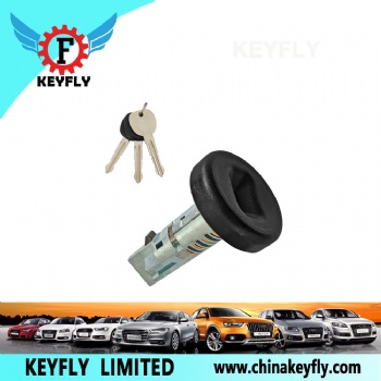 Ignition Lock Switch for Chevrolet GMC OEM 924-796 15794826 15919460 LC65454 KEYFLY XF220D4